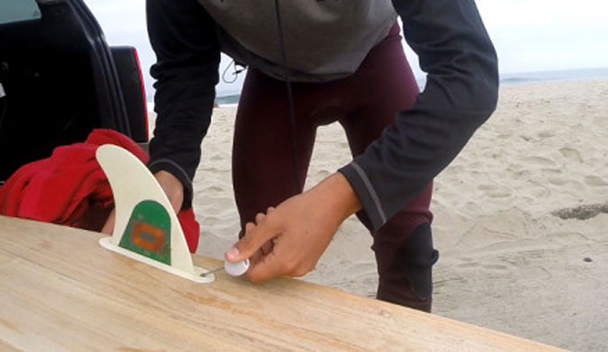 Hold a line and help science at the same time. Photo: Smart Phin