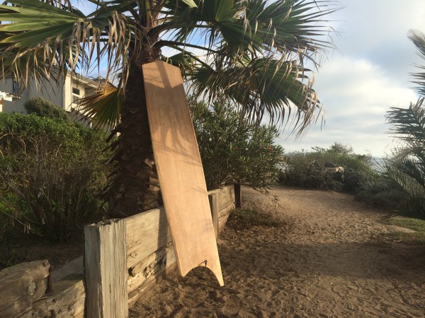 I've made a couple different shapes. This board was designed to favor rights.