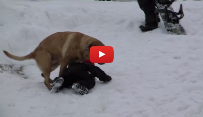 Humping-Featured