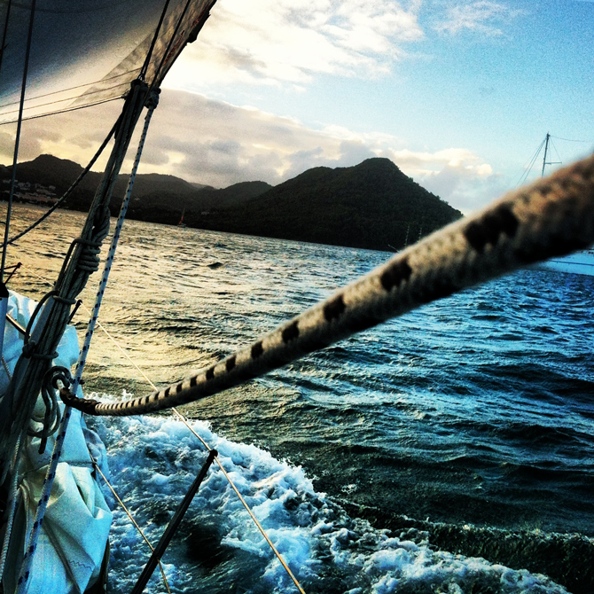 Photo: John Robison IV