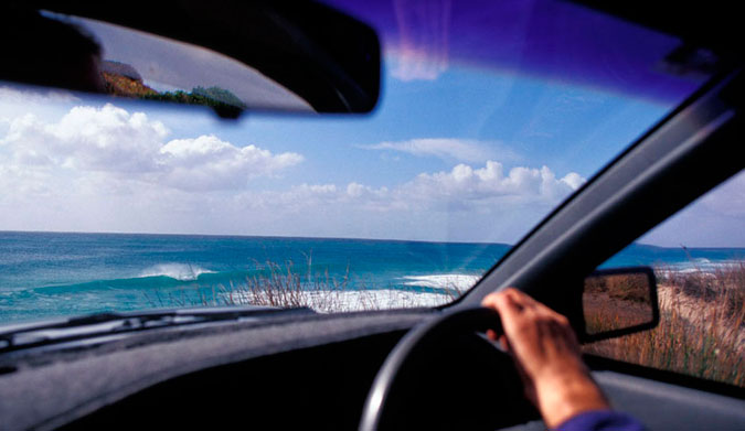 The view will be worse if you're gagging on rotten wetsuits.