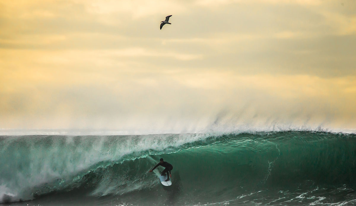 for a few days, after a large, powerful storm made its way into the area, Los Angeles turned into something rarely seen: huge, empty, and in most cases, pretty damn perfect.