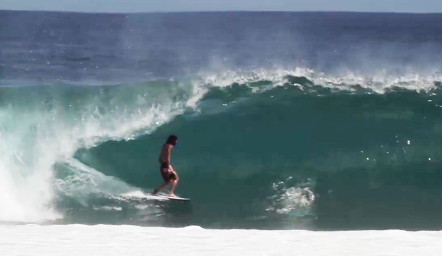 Craig Anderson Hypto Krypto by Hayden Shapes