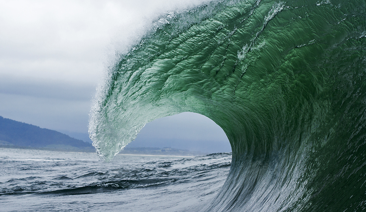 Ray Collins. 2014 portfolio challenge winner
