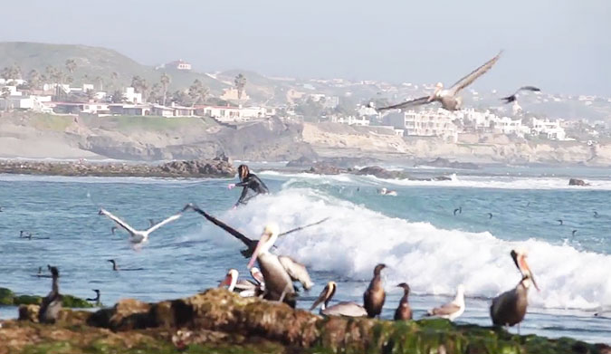 "Surfers have a role to play as a voice for the ocean. To speak on behalf of the places they love."