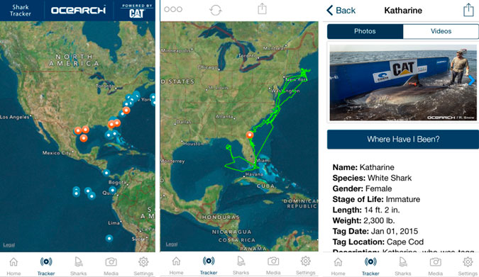 Screen shot from the interactive shark tracking app.