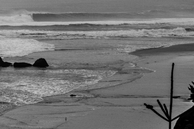 Photo: Michael Kew