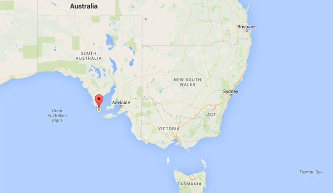 The spectacle took place off the North Neptune Islands off the coast of South Australia. Image: Google Maps