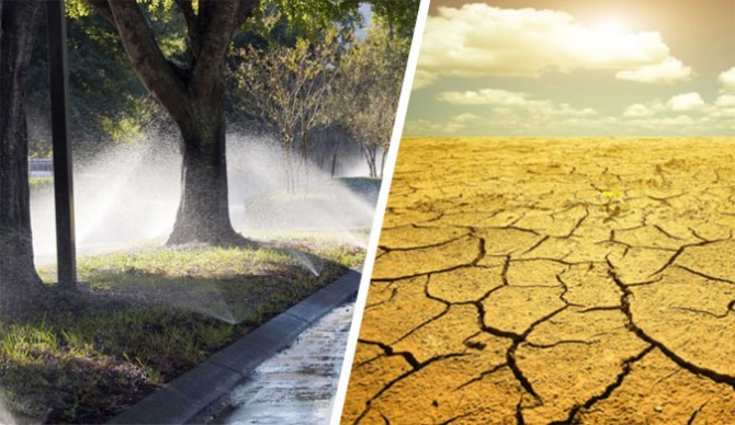 The ramifications of the drought in California extend far a wide. Photo: Shutterstock.com