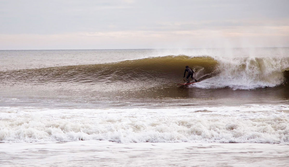 Surprise New Jersey Swell