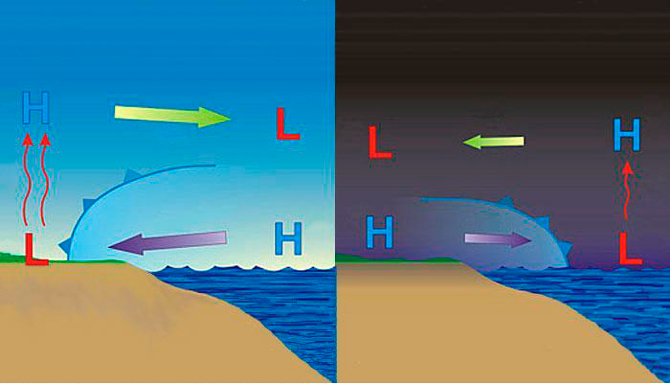 Sea Breeze and land breeze. Image: ncsu.edu