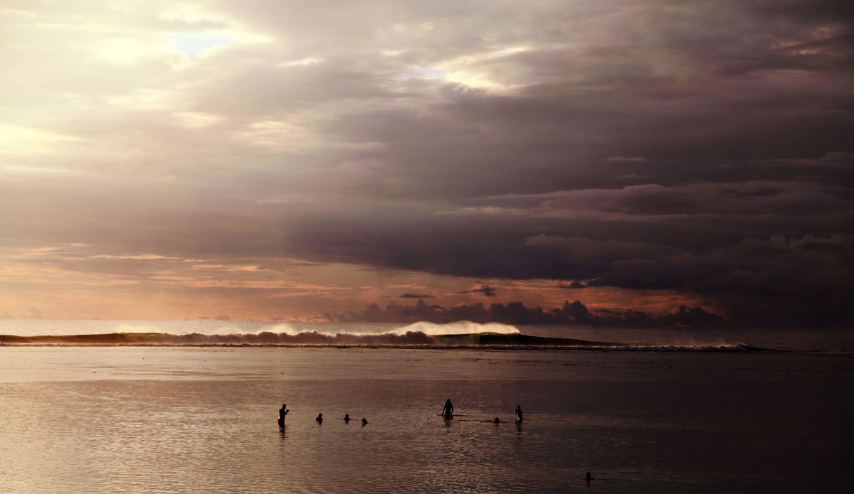 Réunion has some of the best waves in the world–but more recently it has become famous for something else: shark attacks.