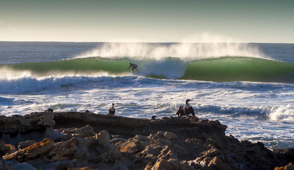 Wild Coast of South Africa