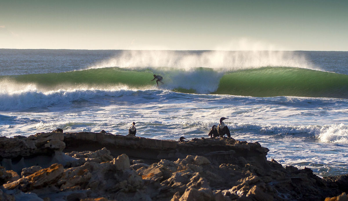 Wild Coast of South Africa