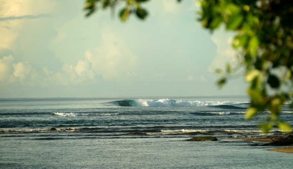 Samoa Snapshots