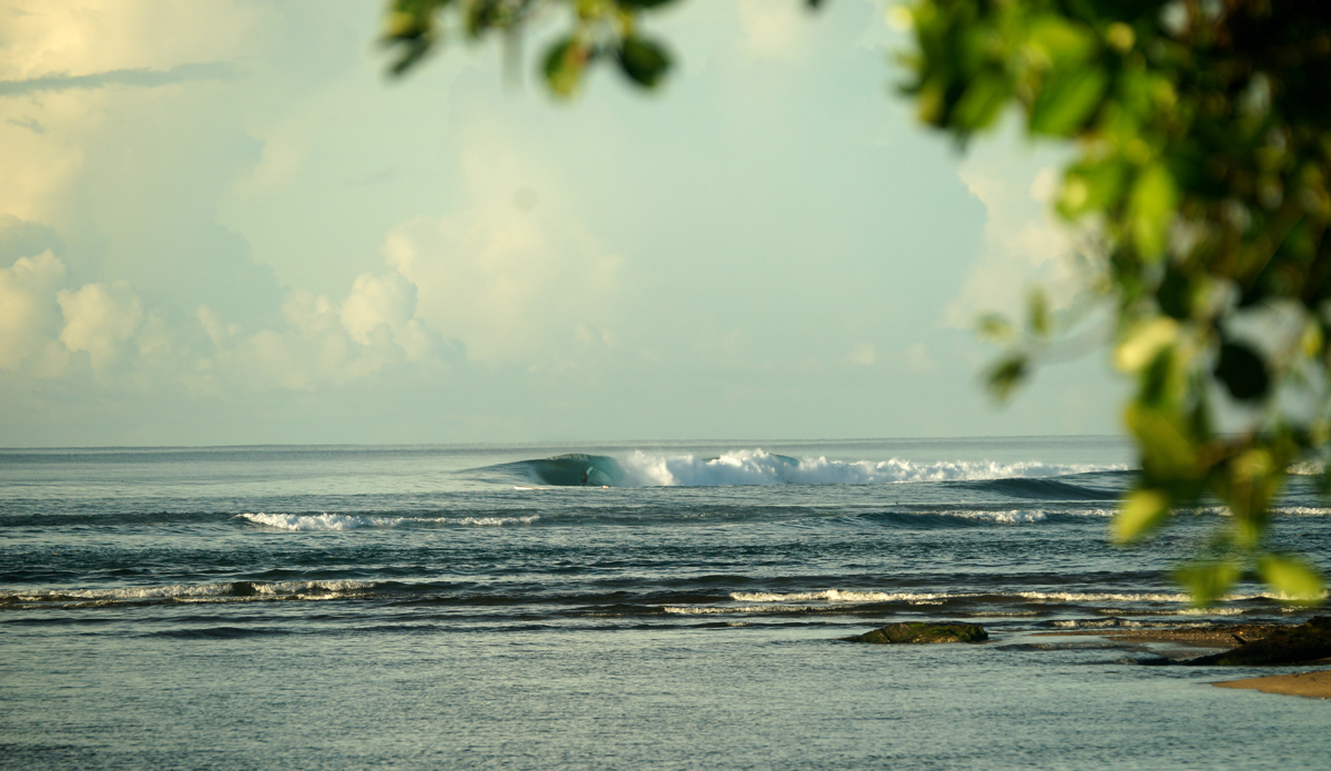 Samoa Snapshots
