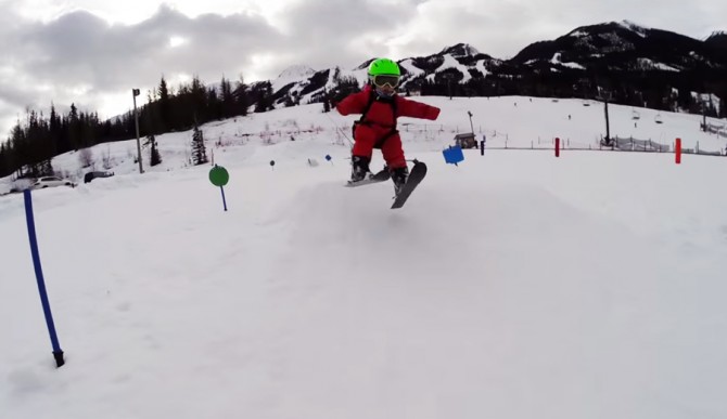 Shred-1
