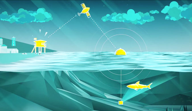 There's a new product floating around out there that might replace shark nets (which kill a lot more than just sharks). It's a buoy. A really high-tech buoy, full of gadgets and sonar and algorithms.