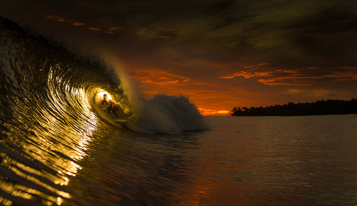 Cole PHotography PNG