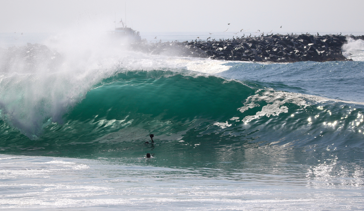 March California South Swell