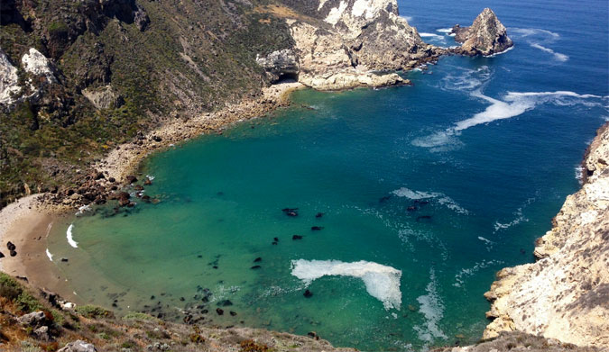 One of the few, pure, and untouched stretches of coast in California,