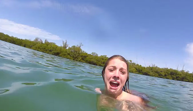 If anything, our fear of sharks should be transferred to manatees.