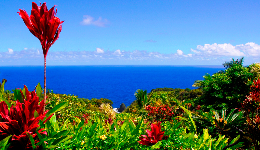 Let's save our Garden of Eden — wherever yours might be. Photo: Mike Brake