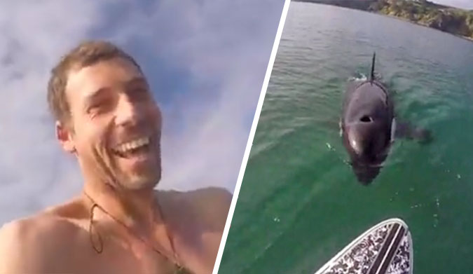 SUPer Surfs With Orca