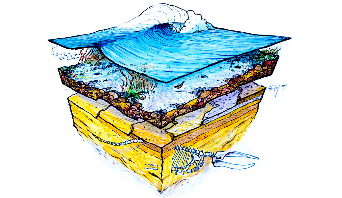 Blaze Syka Surf Art