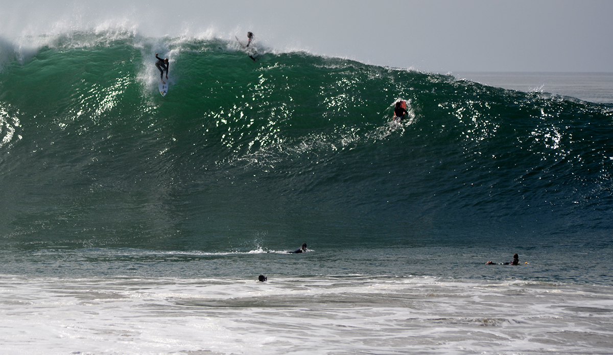 The WEdge
