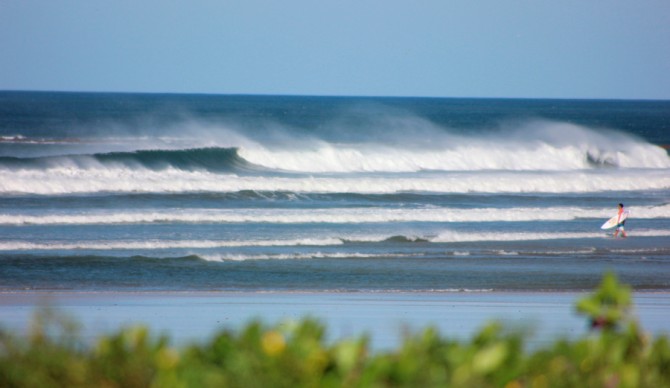 Photo: Courtesy of Carl Kish