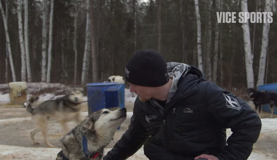 Iditarod-3