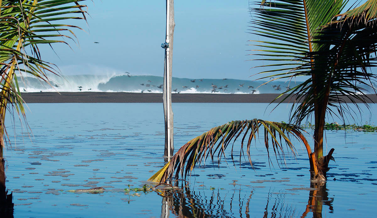 Mexico is off the hook right now.
