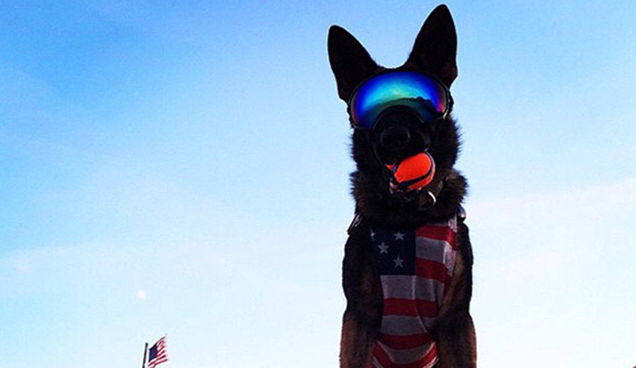 Photo: Rex Specs
