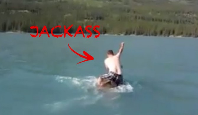 Jackass