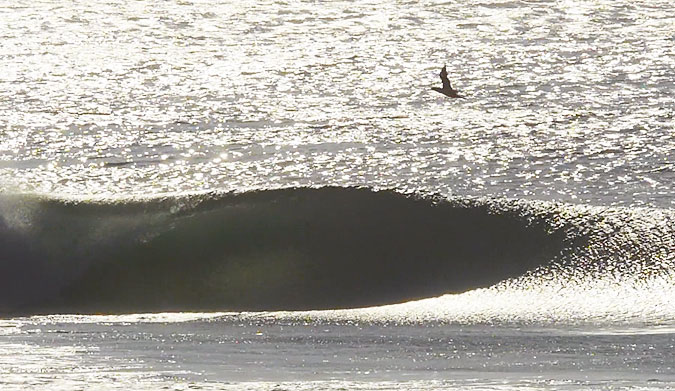 If you like left hand barrels, Panic Point is your jam. And let's be honest, you like barrels, whether they're right handers or left.