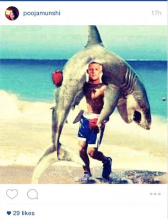 Mick Fanning, Memes, Surfing, JBayOpen, WSL, Shark, Great White, South Africa