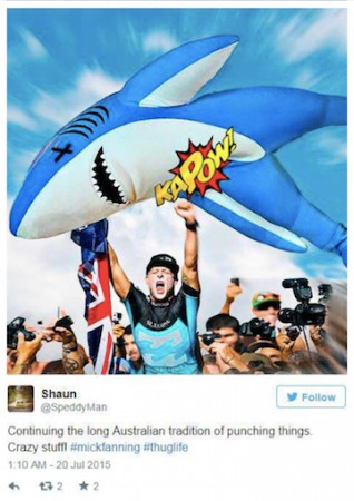 Mick Fanning, Memes, Surfing, JBayOpen, WSL, Shark, Great White, South Africa