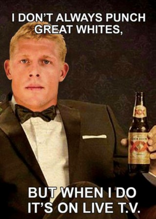 Mick Fanning, Memes, Surfing, JBayOpen, WSL, Shark, Great White, South Africa