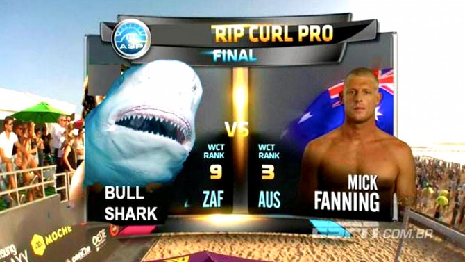 Mick Fanning, Memes, Surfing, JBayOpen, WSL, Shark, Great White, South Africa