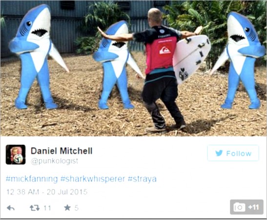 Mick Fanning, Memes, Surfing, JBayOpen, WSL, Shark, Great White, South Africa