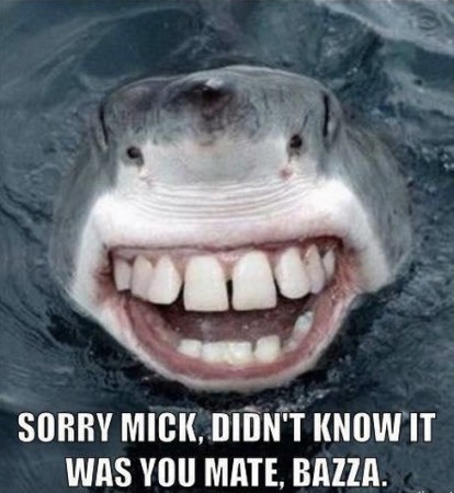 Mick Fanning, Memes, Surfing, JBayOpen, WSL, Shark, Great White, South Africa
