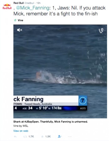 Mick Fanning, Memes, Surfing, JBayOpen, WSL, Shark, Great White, South Africa