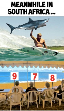 Mick Fanning, Memes, Surfing, JBayOpen, WSL, Shark, Great White, South Africa