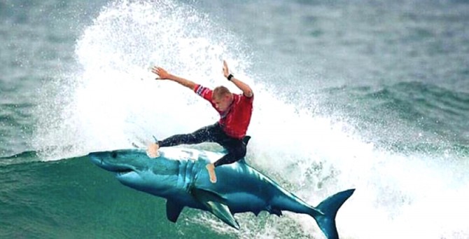 Mick Fanning, Memes, Surfing, JBayOpen, WSL, Shark, Great White, South Africa