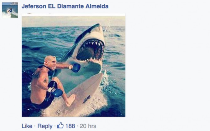 Mick Fanning, Memes, Surfing, JBayOpen, WSL, Shark, Great White, South Africa
