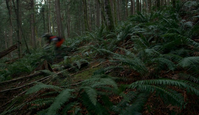 Screenshot: Liam Mullany via Red Bull