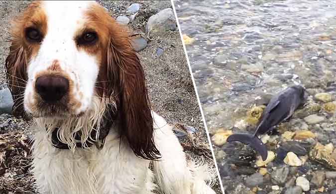 "This little guy was lucky, as there was nobody around for miles!"
