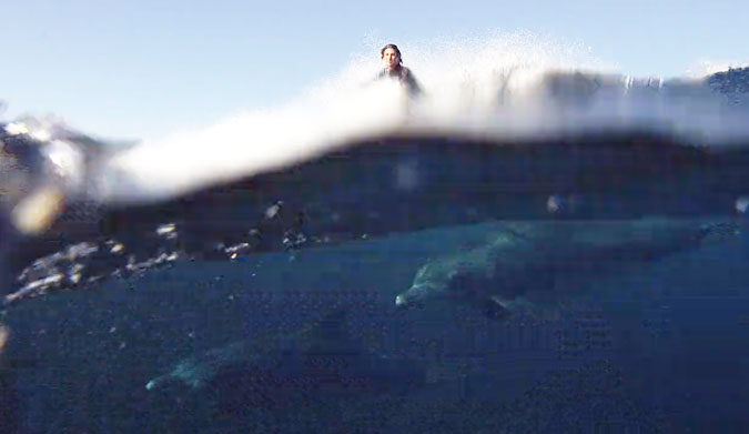 Hector Santamaria surfs like a bat out of hell.