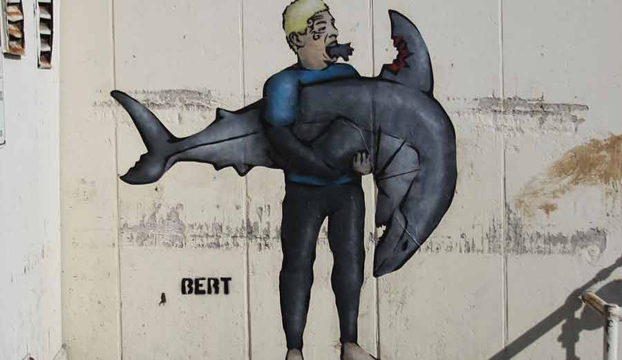 "Fin Bitin' Mick Tyson" is installed in Cardiff, CA in response to Mick Fanning's shark beat down at South Africa.